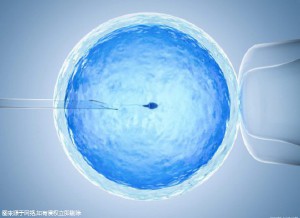 优胚鲜胚移植医学中心
